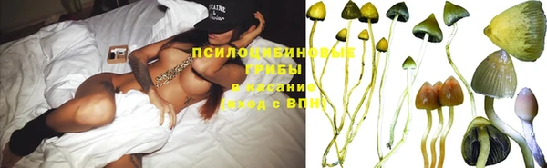 альфа пвп Нея