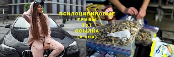 альфа пвп Нея
