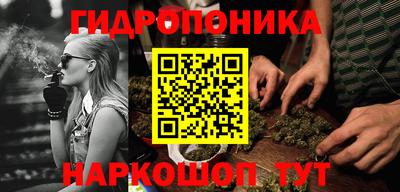 крисы Заводоуковск