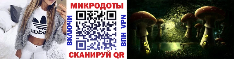 даркнет сайт  Нововоронеж  это какой сайт  Псилоцибиновые грибы GOLDEN TEACHER 