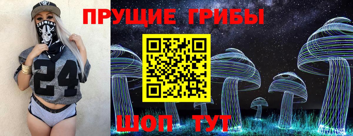 Псилоцибиновые грибы ЛСД  Нововоронеж  закладка  Псилоцибиновые грибы ЛСД 
