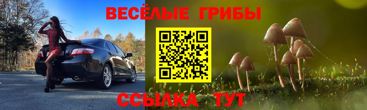 Галлюциногенные грибы мухоморы Нововоронеж